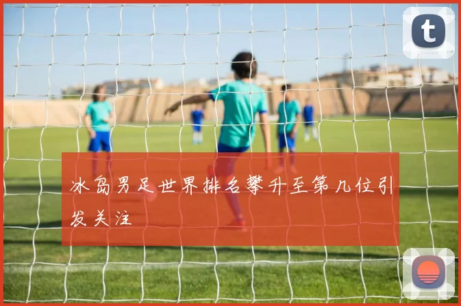 冰岛男足世界排名攀升至第几位引发关注