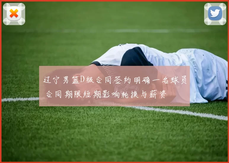 辽宁男篮D级合同签约明确一名球员 合同期限短期影响轮换与薪资